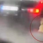 Samsun'da Köpeği Sürükleyen Kişi Gözaltına Alındı, Sonrasında Serbest Bırakıldı