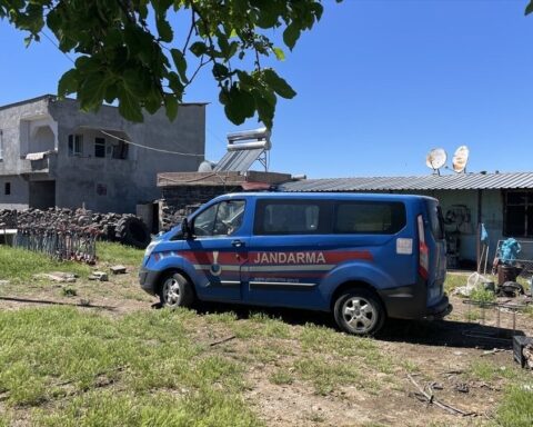 Şanlıurfa'da Yılan Avı Sırasında 5 Kişi Yaralandı