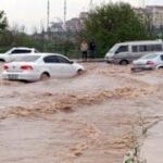 Şanlıurfa'da Yıldırım Düşmesi Sonucu Bir Çoban Hayatını Kaybetti