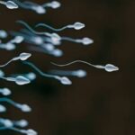 Sperm Yarışması Dünyada İlk Kez Gerçekleşecek: Ödül 100.000 Dolar