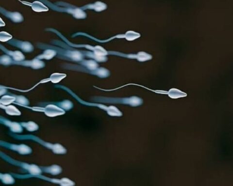 Sperm Yarışması Dünyada İlk Kez Gerçekleşecek: Ödül 100.000 Dolar