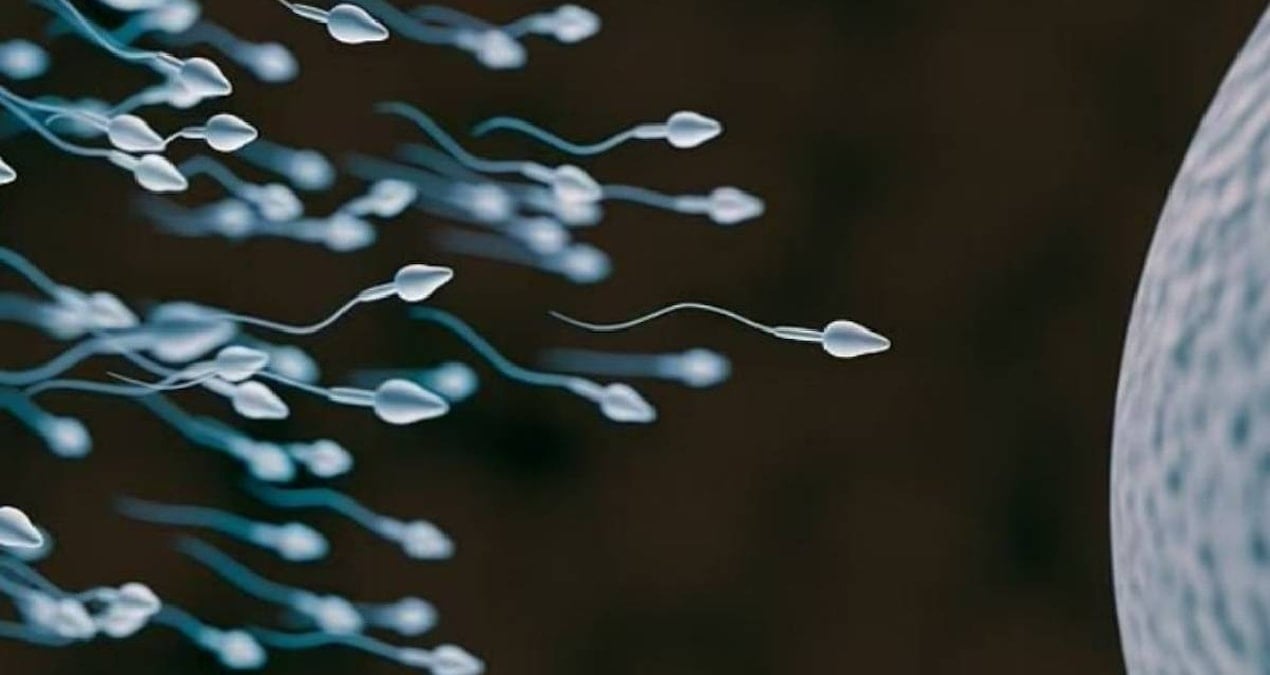 Sperm Yarışması Dünyada İlk Kez Gerçekleşecek: Ödül 100.000 Dolar