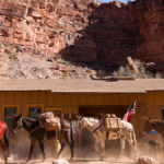 Supai Köyü: Ulaşım Zorluğuyla Doğayla İç İçe Bir Hayat