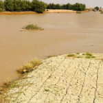 Suudi Arabistan'dan dev su projesi: Yeraltı nehri ağı inşa ediliyor