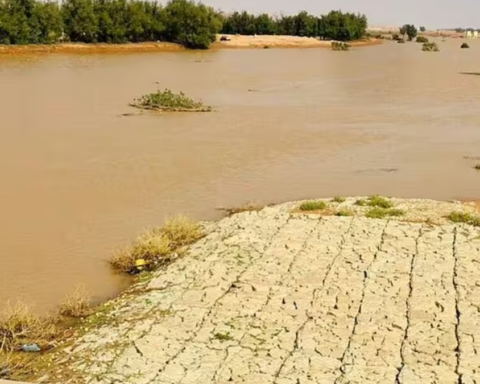 Suudi Arabistan'dan dev su projesi: Yeraltı nehri ağı inşa ediliyor