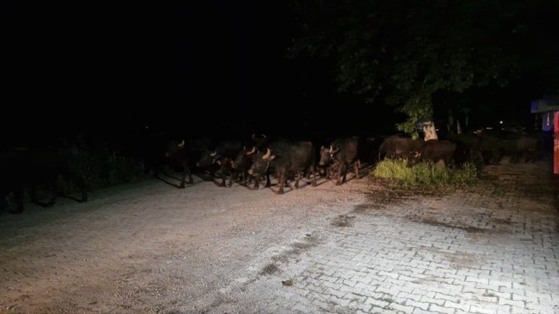 Tokat'ta Taşkın Riski Nedeniyle Kızılçubuk Köyü Tahliye Edildi