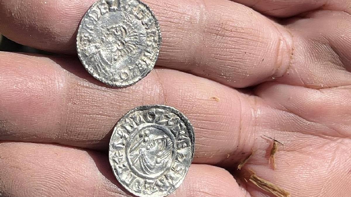 Viking Dönemine Ait En Büyük Define Hazinesi Bulundu