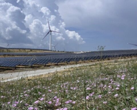 Yenilenebilir Enerji Üretimi Türkiye'de İlk Kez Kömürü Geçti