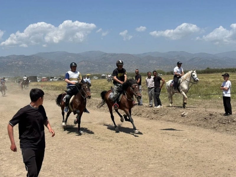 Yenipazar'da Rahvan At Yarışları Coşkuyla Gerçekleşti