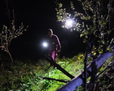Yozgat'ta Kaybolan 3 Yaşındaki Aybüke İnce, Sağ Salim Bulundu