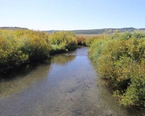 Yüzme Yasağı Uyarısına Rağmen Yüzen Adam, Bacağında Şişlik Sorunu Yaşadı
