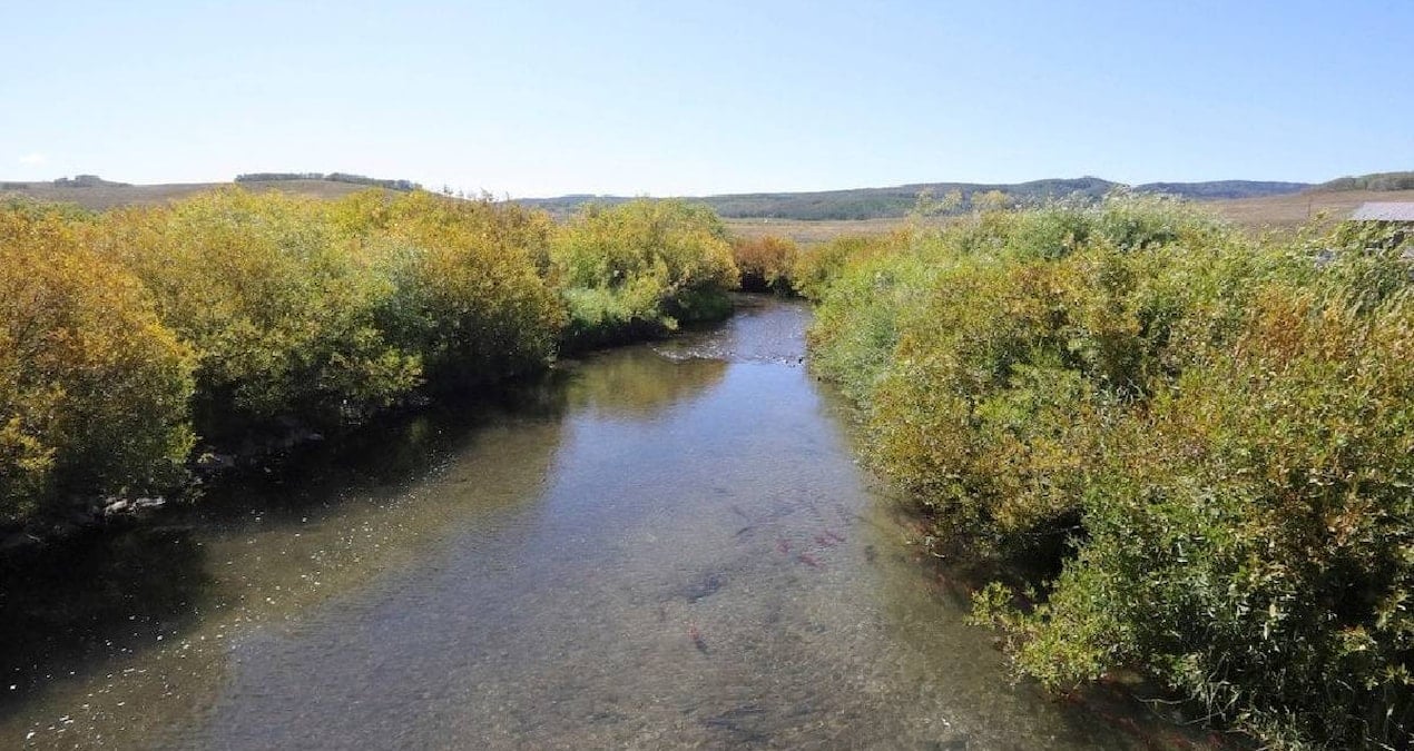 Yüzme Yasağı Uyarısına Rağmen Yüzen Adam, Bacağında Şişlik Sorunu Yaşadı