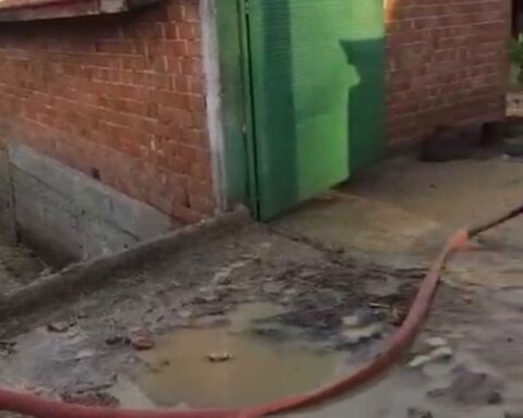 Bolu'da Yoğun Yağış Sonrası Taşkın: Tarım ve Hayvancılığa Zarar Verdi