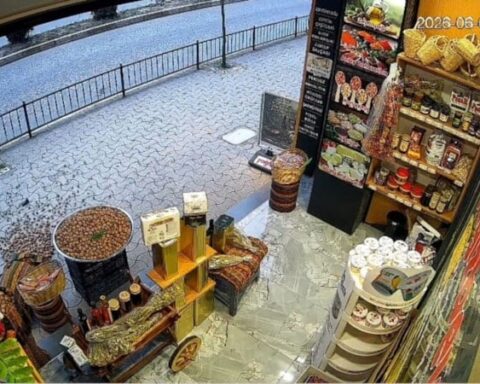 Giresun’da Sokak Kedisi Cuvayı Devrip Cevizleri Yola Saçtı