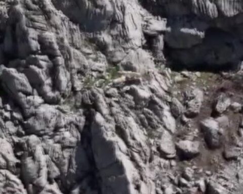 Tunceli'de Kurtların Dağ Keçisini Avladığı Anlar Drone ile Kaydedildi